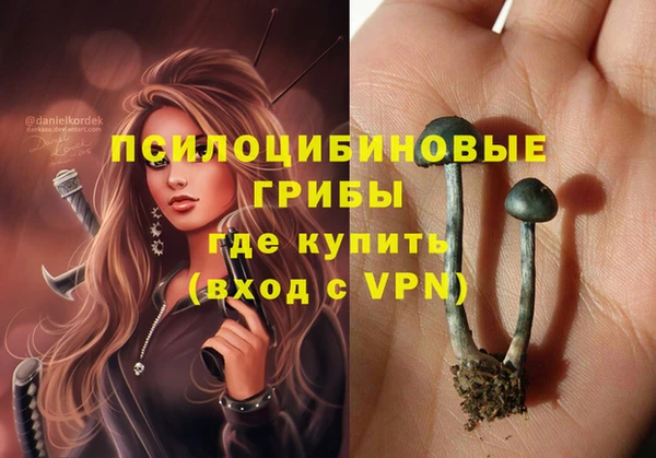 герыч Кулебаки