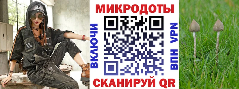Купить где  Кимовск  Галлюциногенные грибы Magic Shrooms 